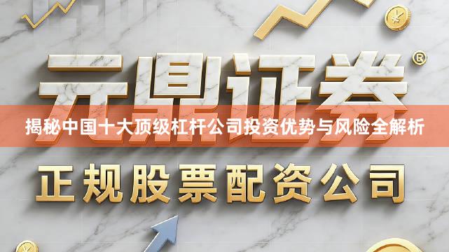 揭秘中国十大顶级杠杆公司投资优势与风险全解析